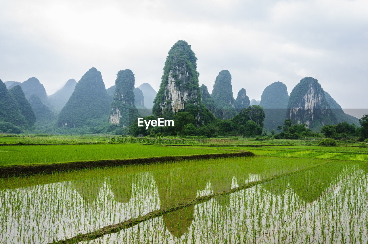 Scenic view of field with mountain in background