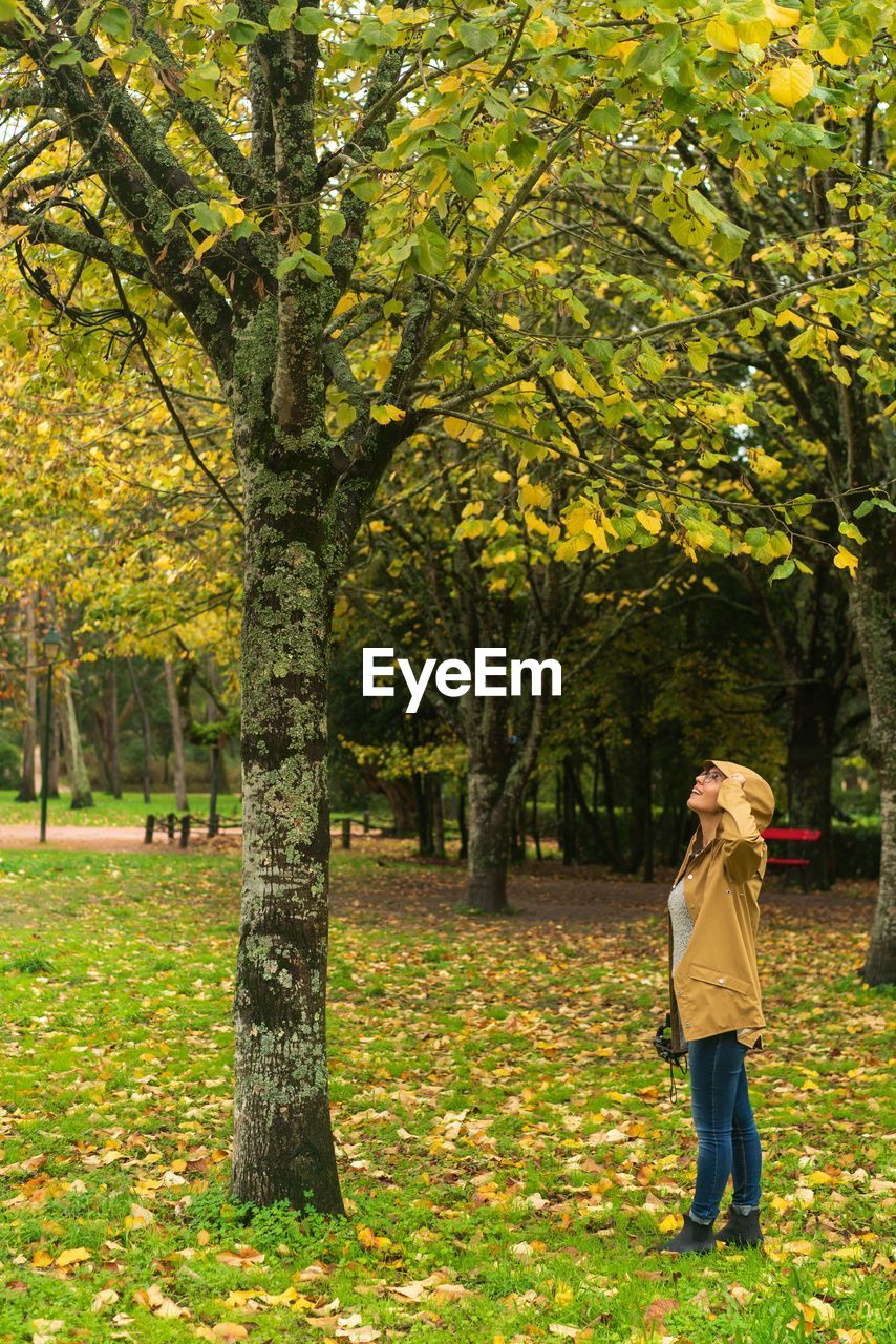 Caucasian woman with yellow rain jacket looking at autumn fall yellow leaves tree on a rainy day