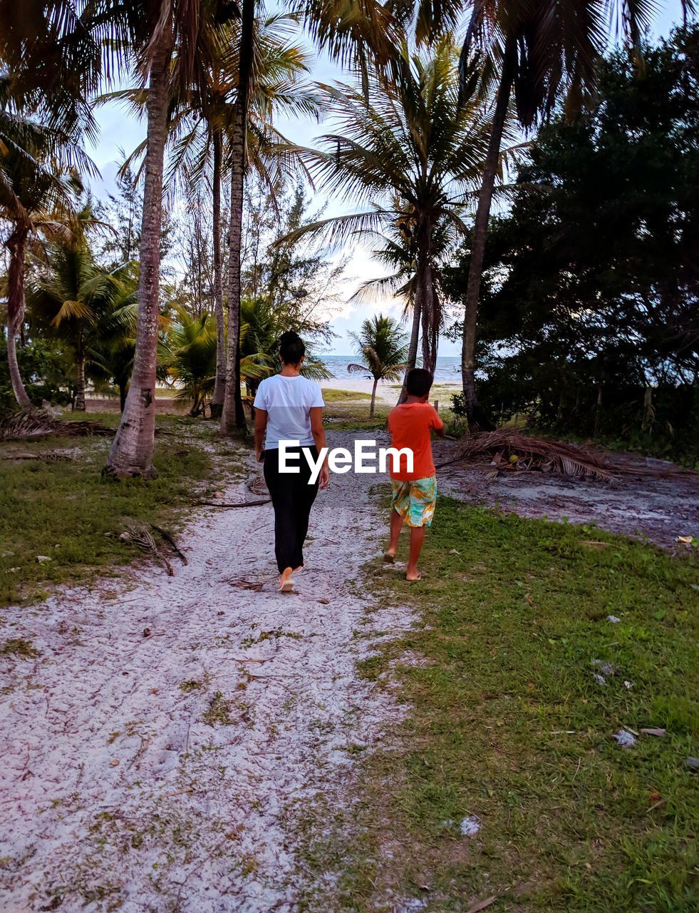 Rear view of mother and son walking in park