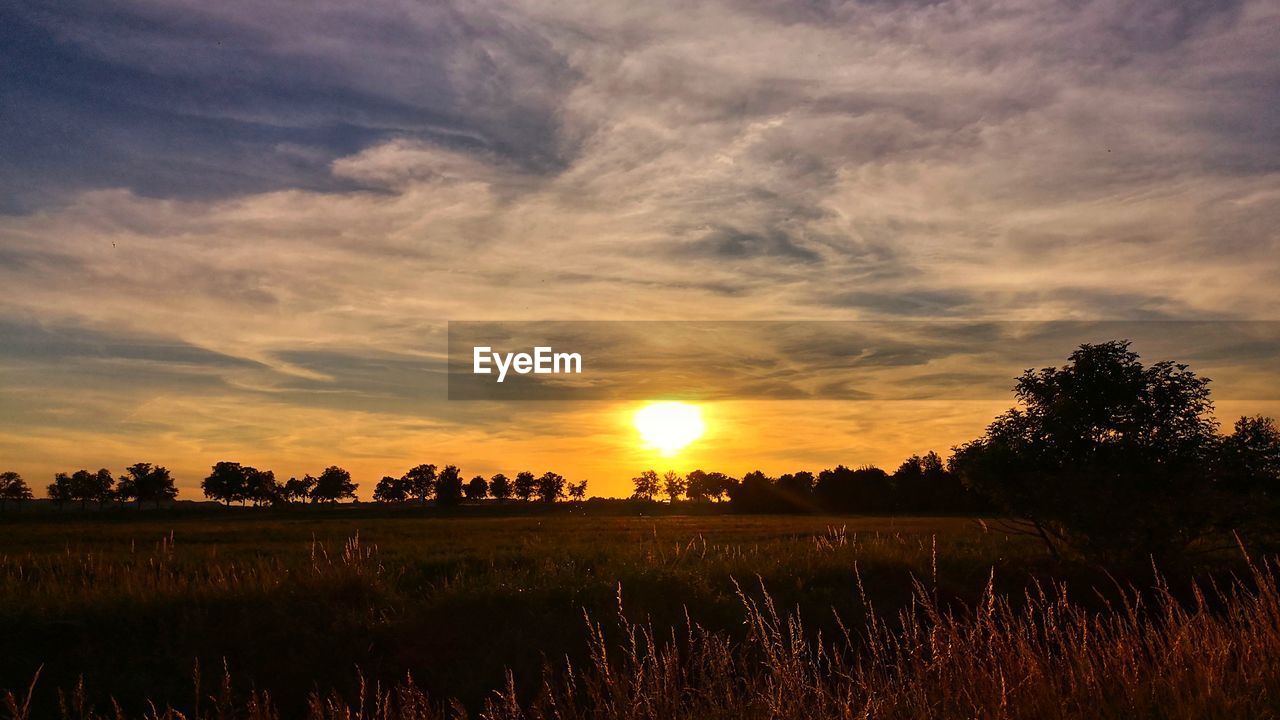 SCENIC VIEW OF SUNSET OVER FIELD