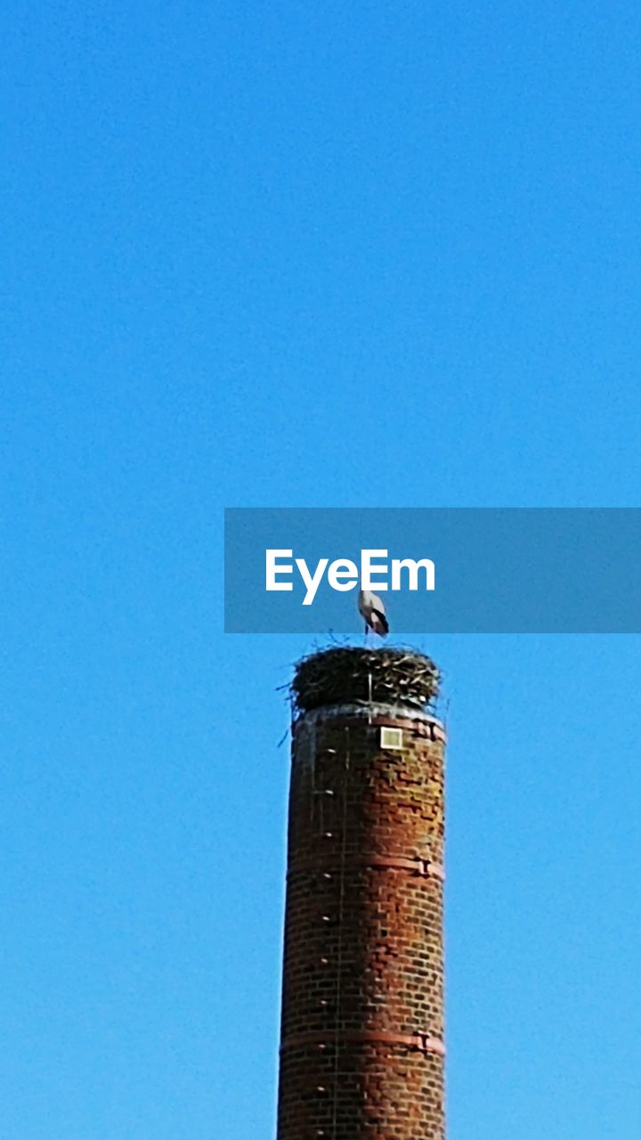 LOW ANGLE VIEW OF BIRD PERCHING ON A TOWER