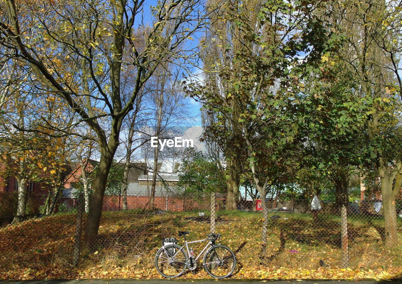 Bicycle on street by field