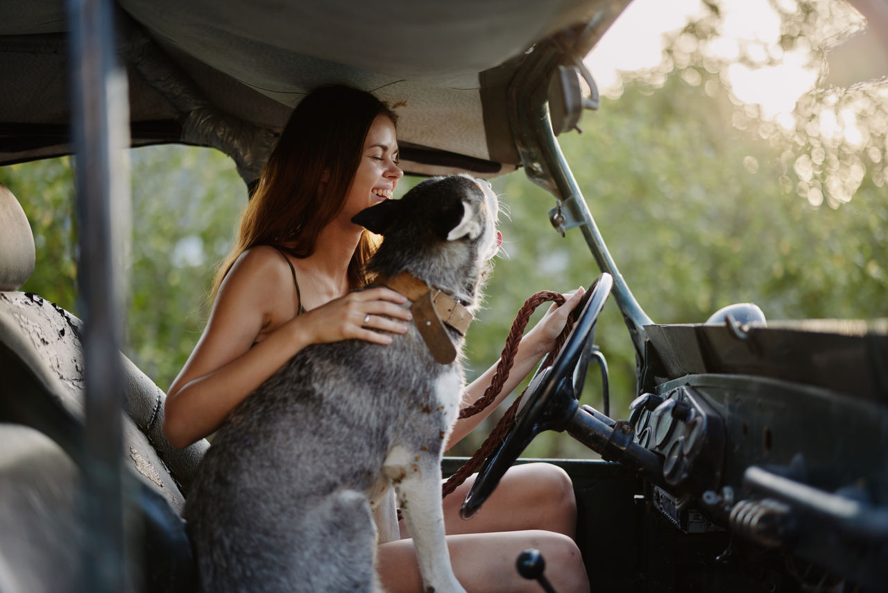 side view of young woman with dog in car