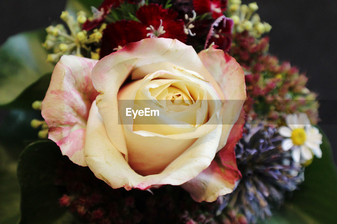 High angle view of rose bouquet