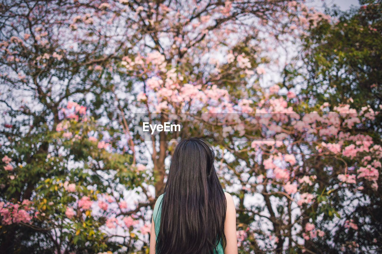 Rear view of woman with long hair standing in park during spring