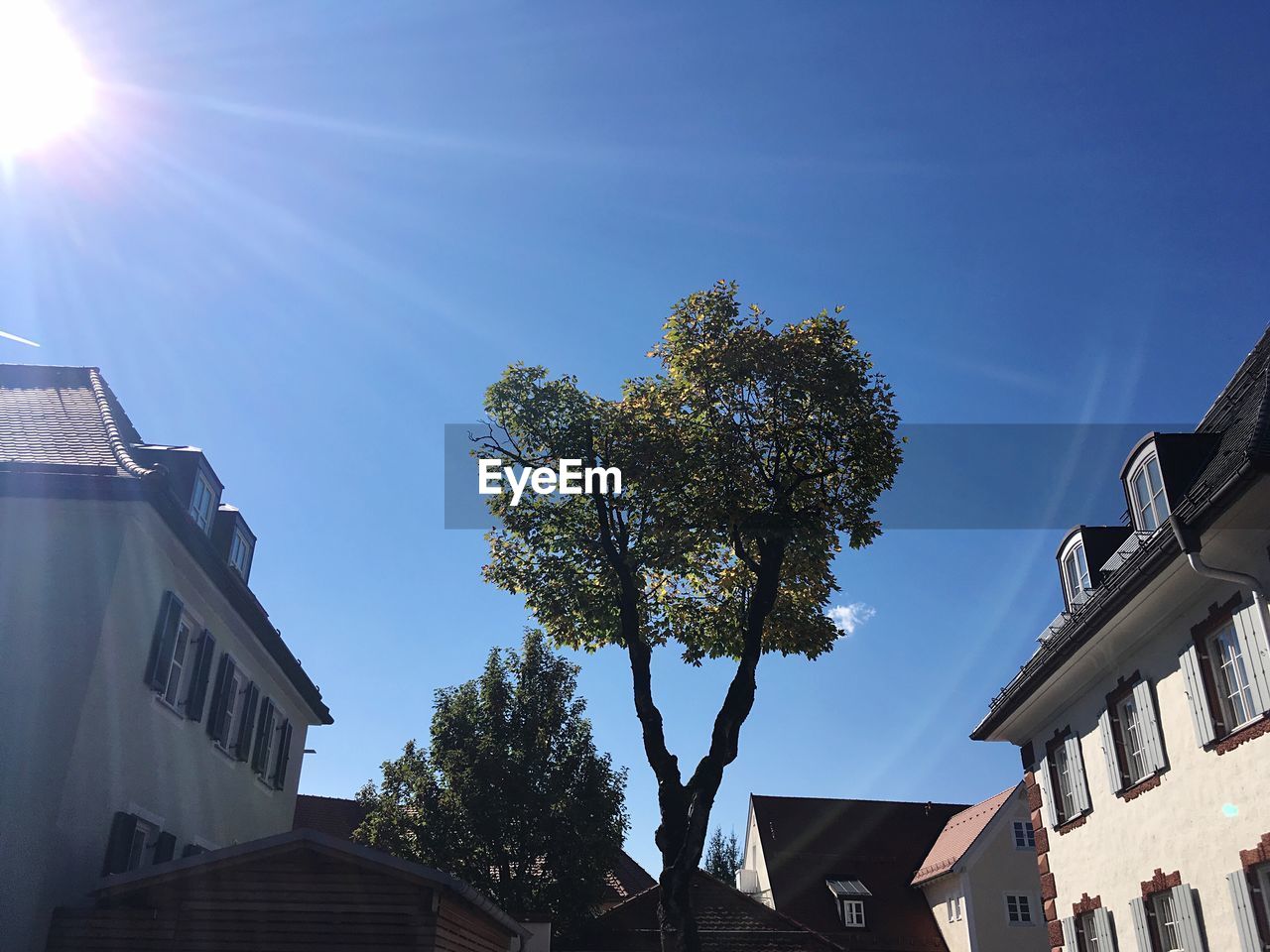 LOW ANGLE VIEW OF BUILDINGS AGAINST SKY