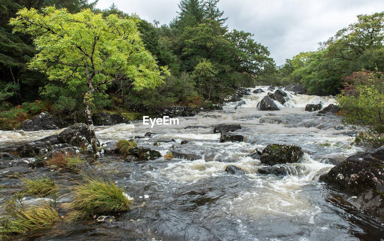 Scenic view of waterfall in forest against sky