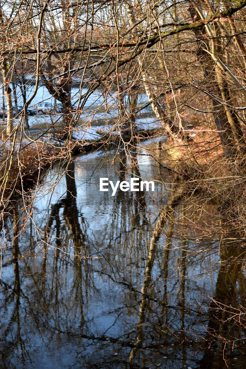 REFLECTION OF TREES IN WATER AGAINST SKY