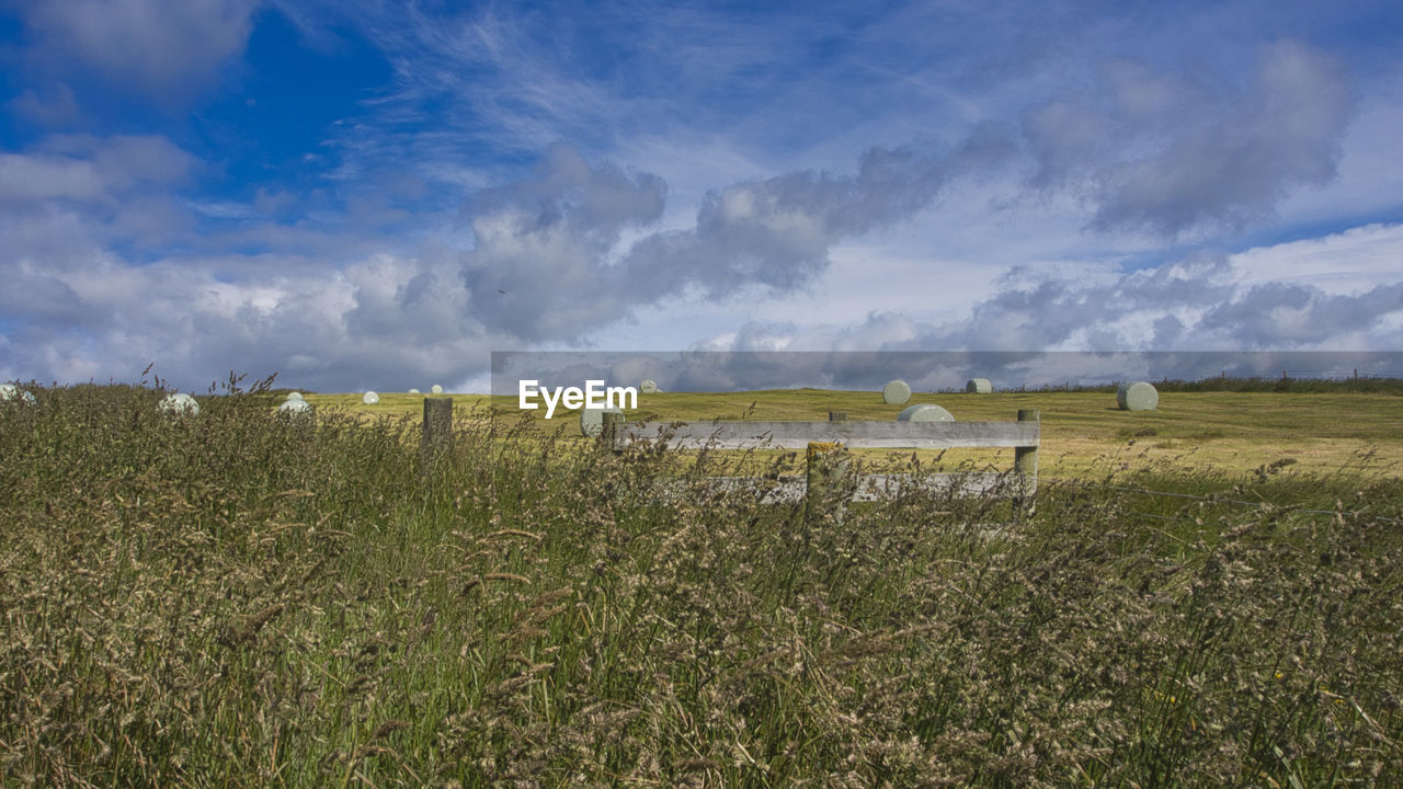 Scenic view of agricultural field against sky