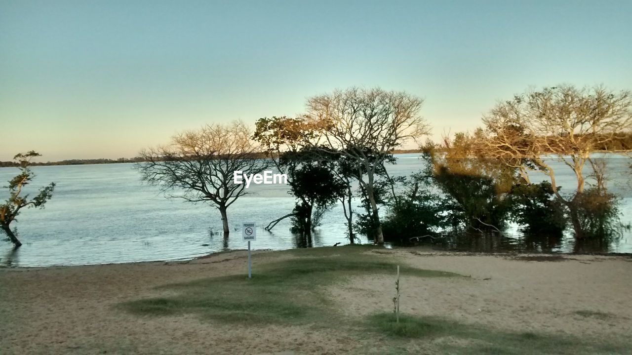 BARE TREES BY LAKE AGAINST SKY