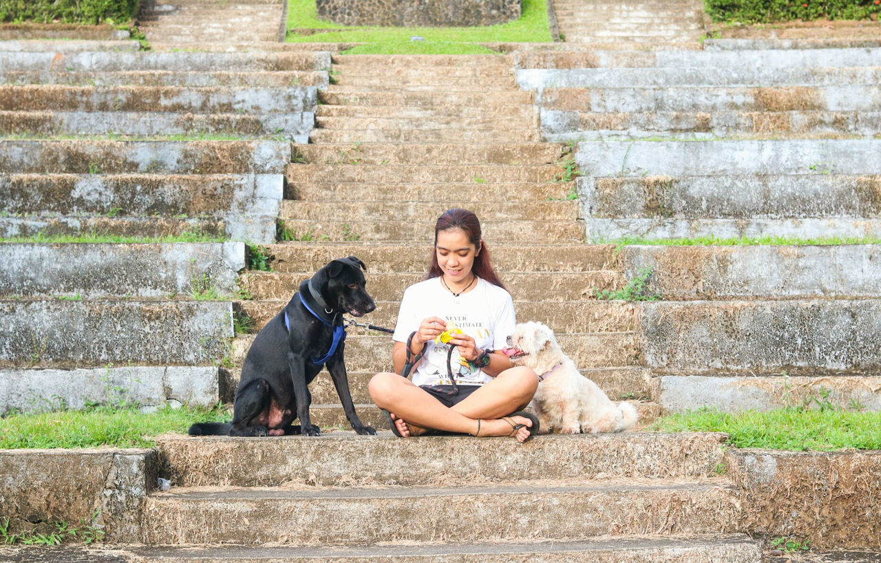 Woman feeding dogs while sitting on steps