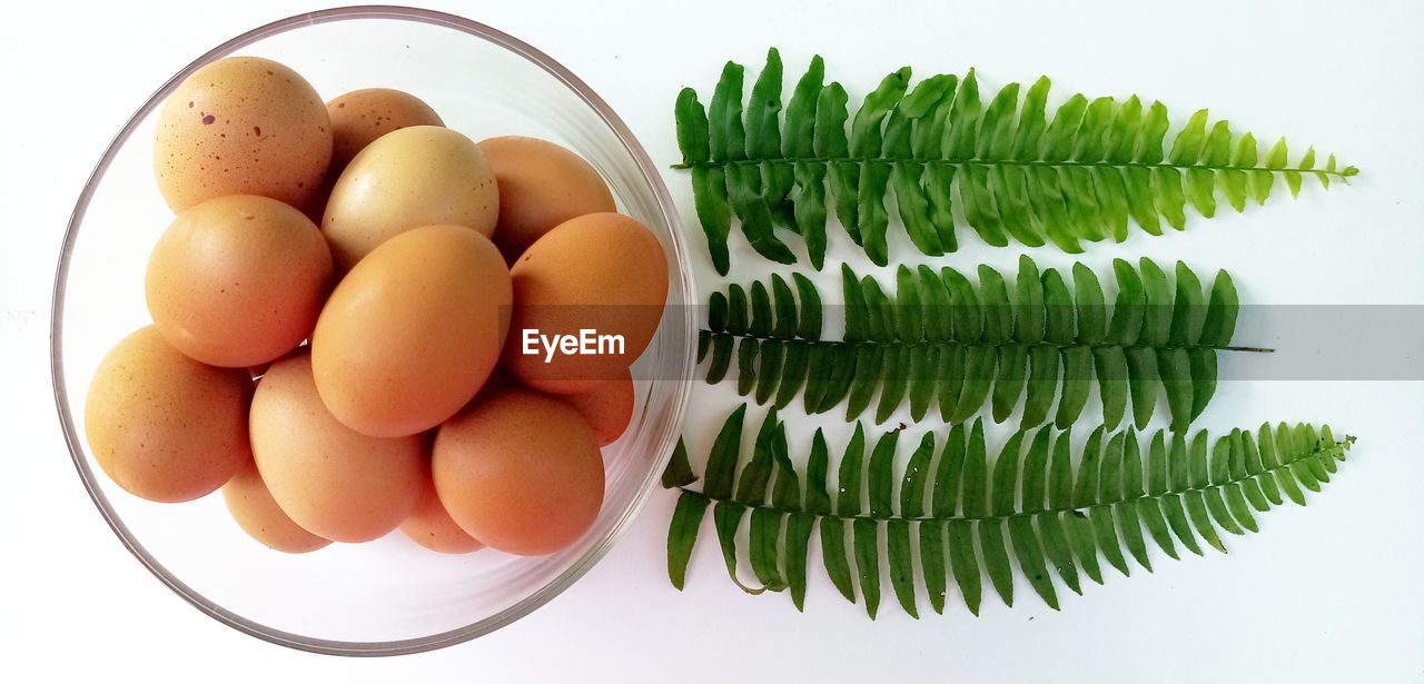 High angle view of eggs in container on table