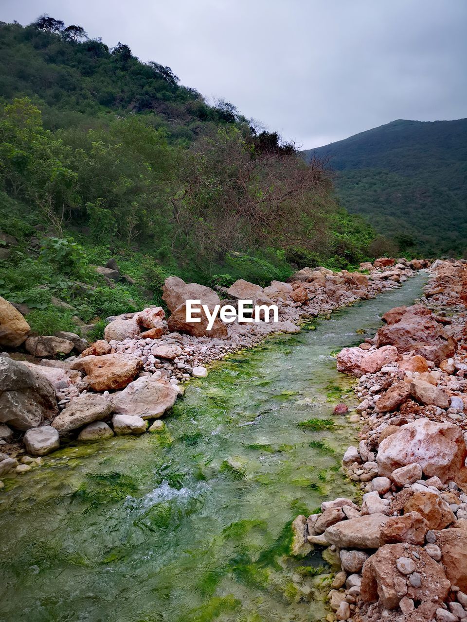 Stream flowing through rocks in forest against sky