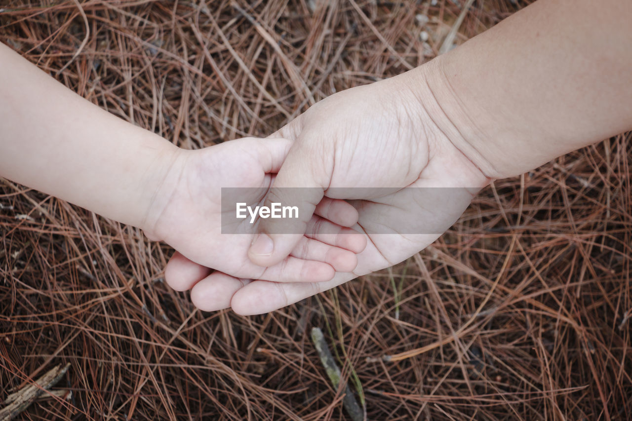 Cropped image of mother and baby holding hands by hay