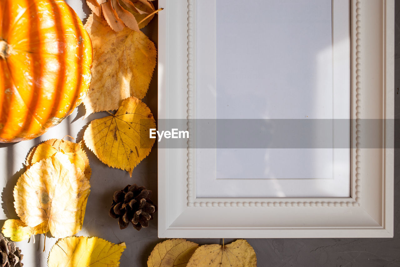 Colorful autumn pattern made of pumpkins, cones, leaves and rowan on gray frame, copy autumn colors