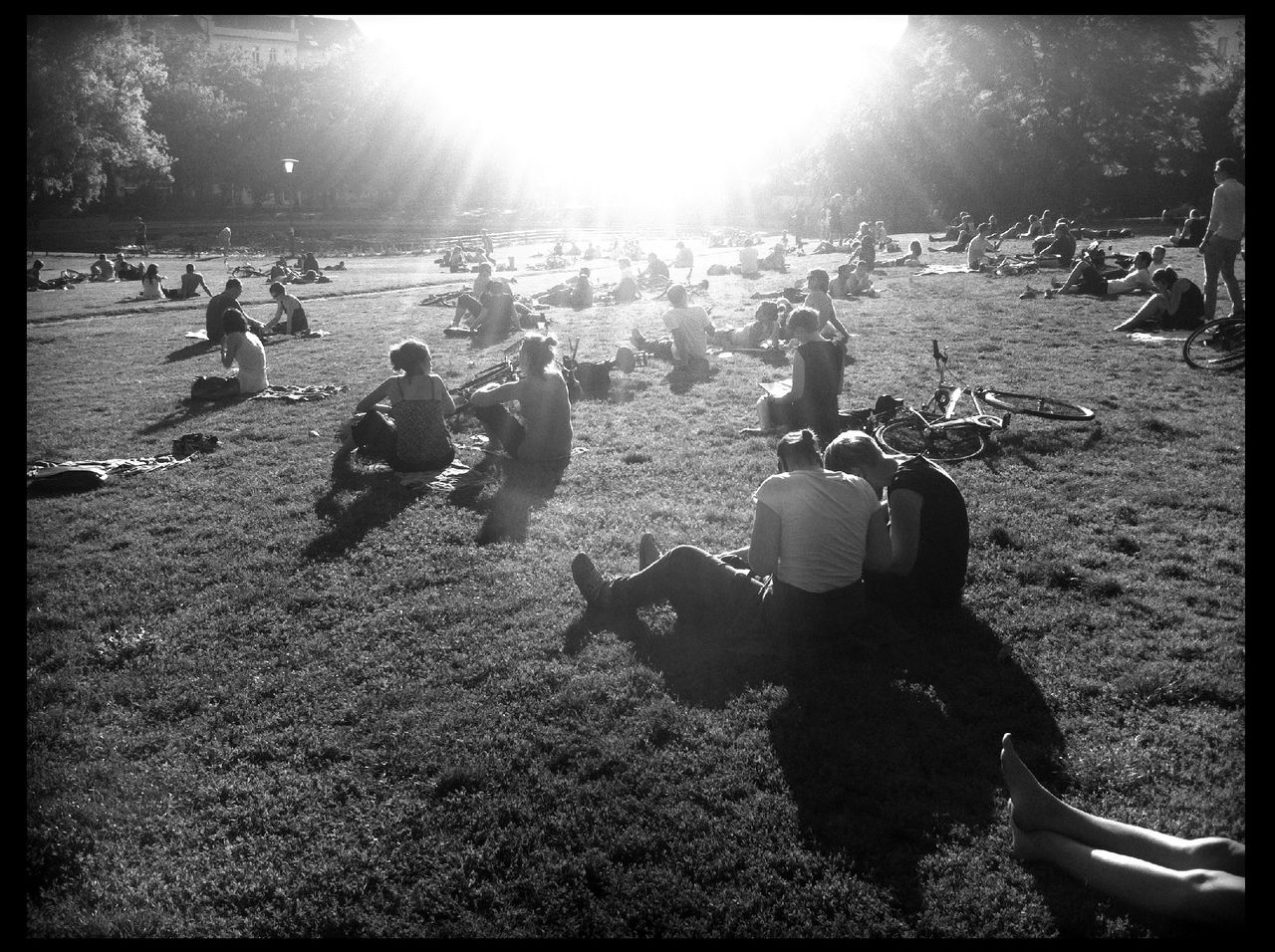 Large group of people sitting on grass