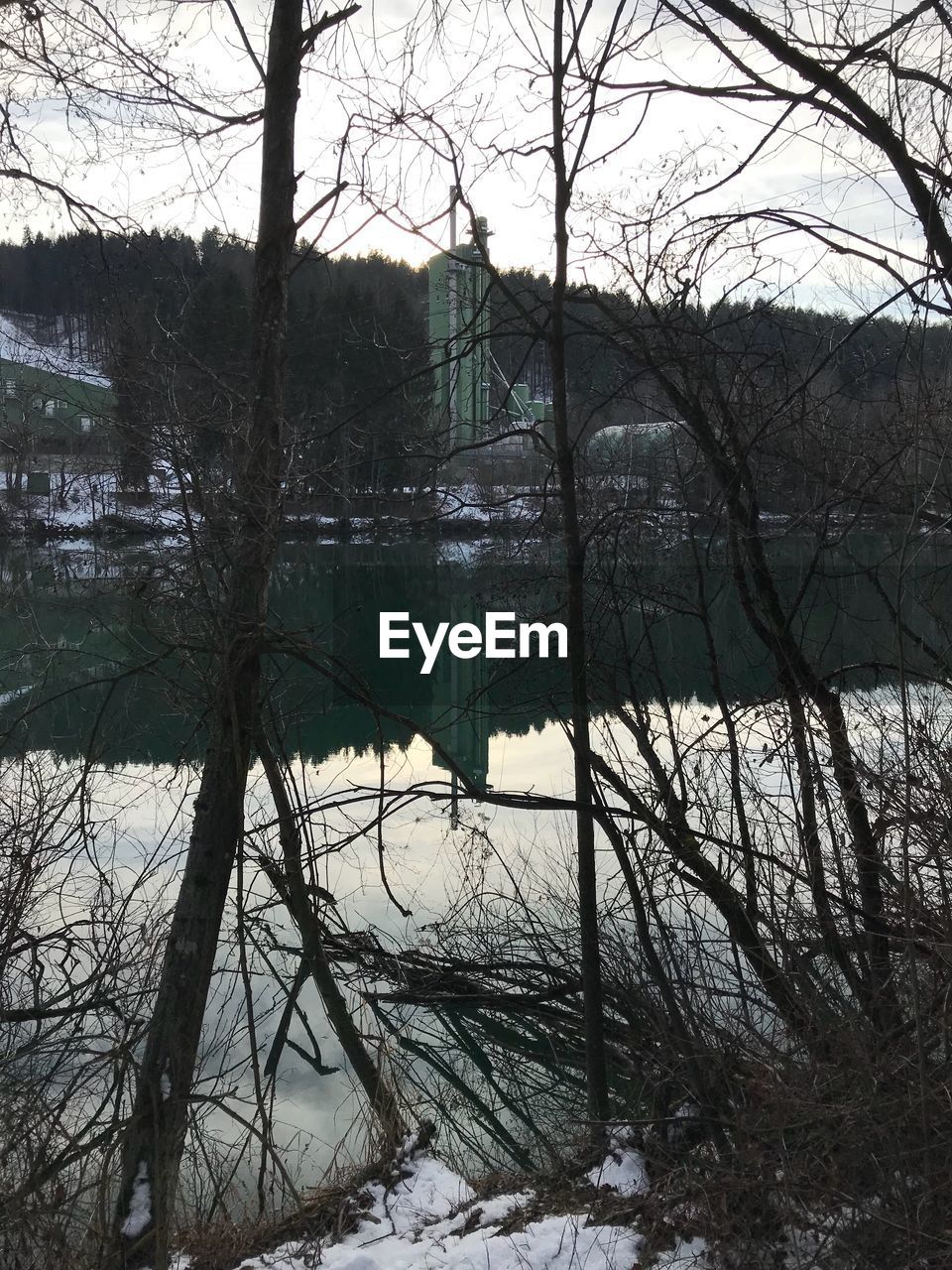 BARE TREES ON FROZEN LAKE AGAINST SKY