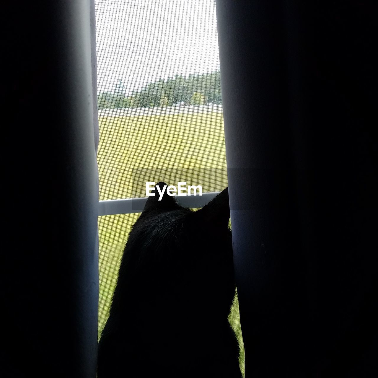 CLOSE-UP OF MAN LOOKING THROUGH WINDOW IN SKY