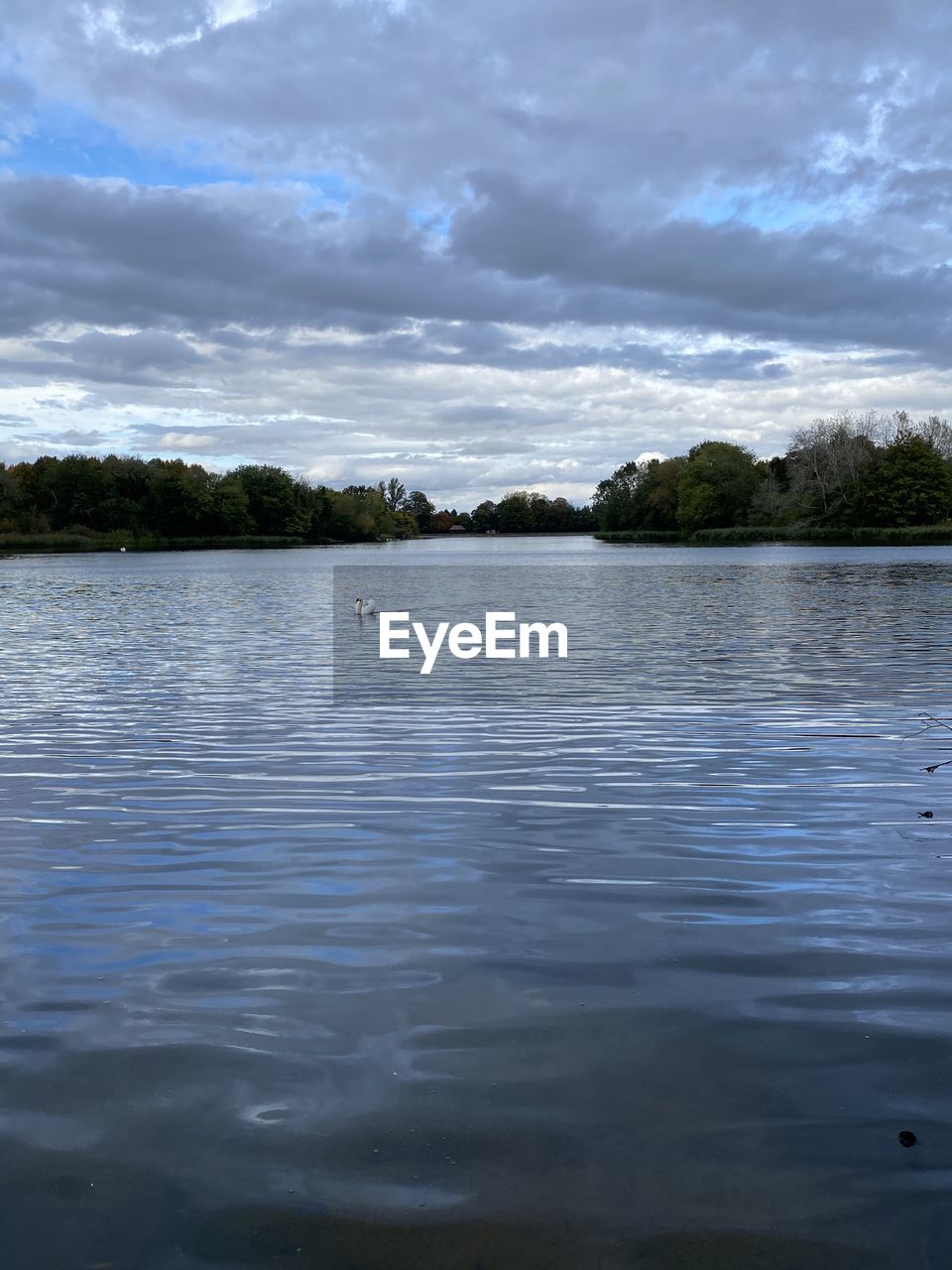 SCENIC VIEW OF LAKE