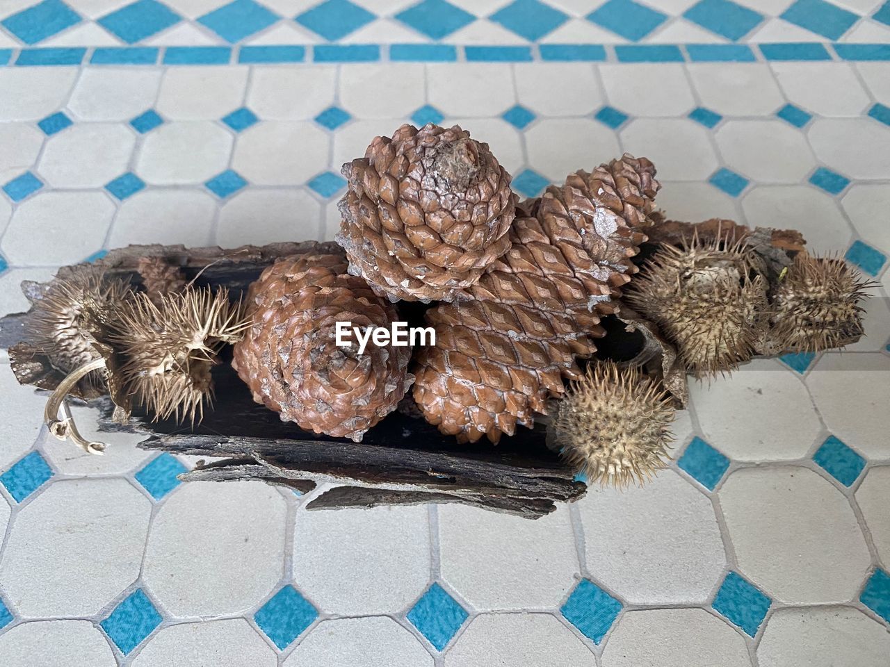 conifer cone, no people, pattern, high angle view, food, food and drink, art, nature, animal, day, flooring, still life, close-up, outdoors