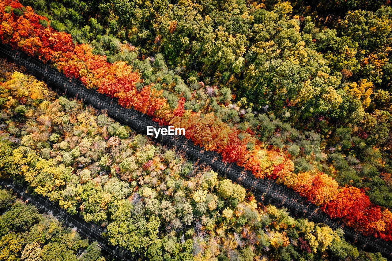 Aerial view of railroad tracks in autumn forest