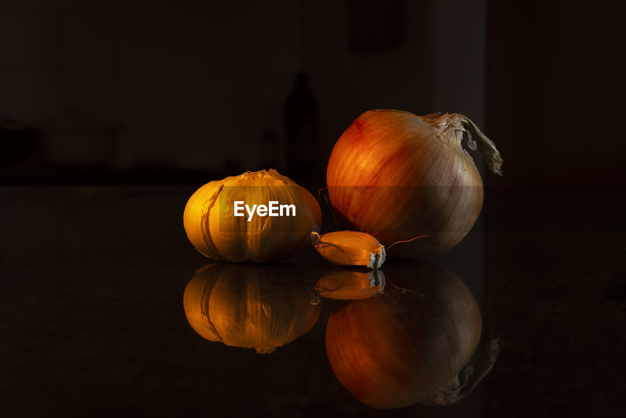 CLOSE-UP OF PUMPKINS AGAINST WHITE BACKGROUND