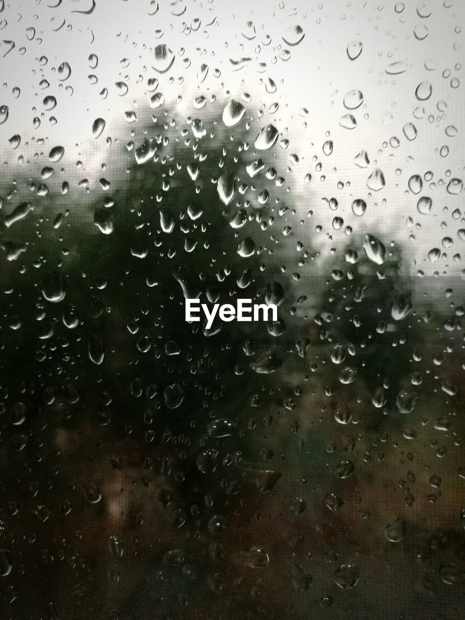 RAINDROPS ON WINDOW