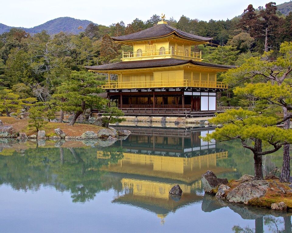 REFLECTION OF TREES IN WATER