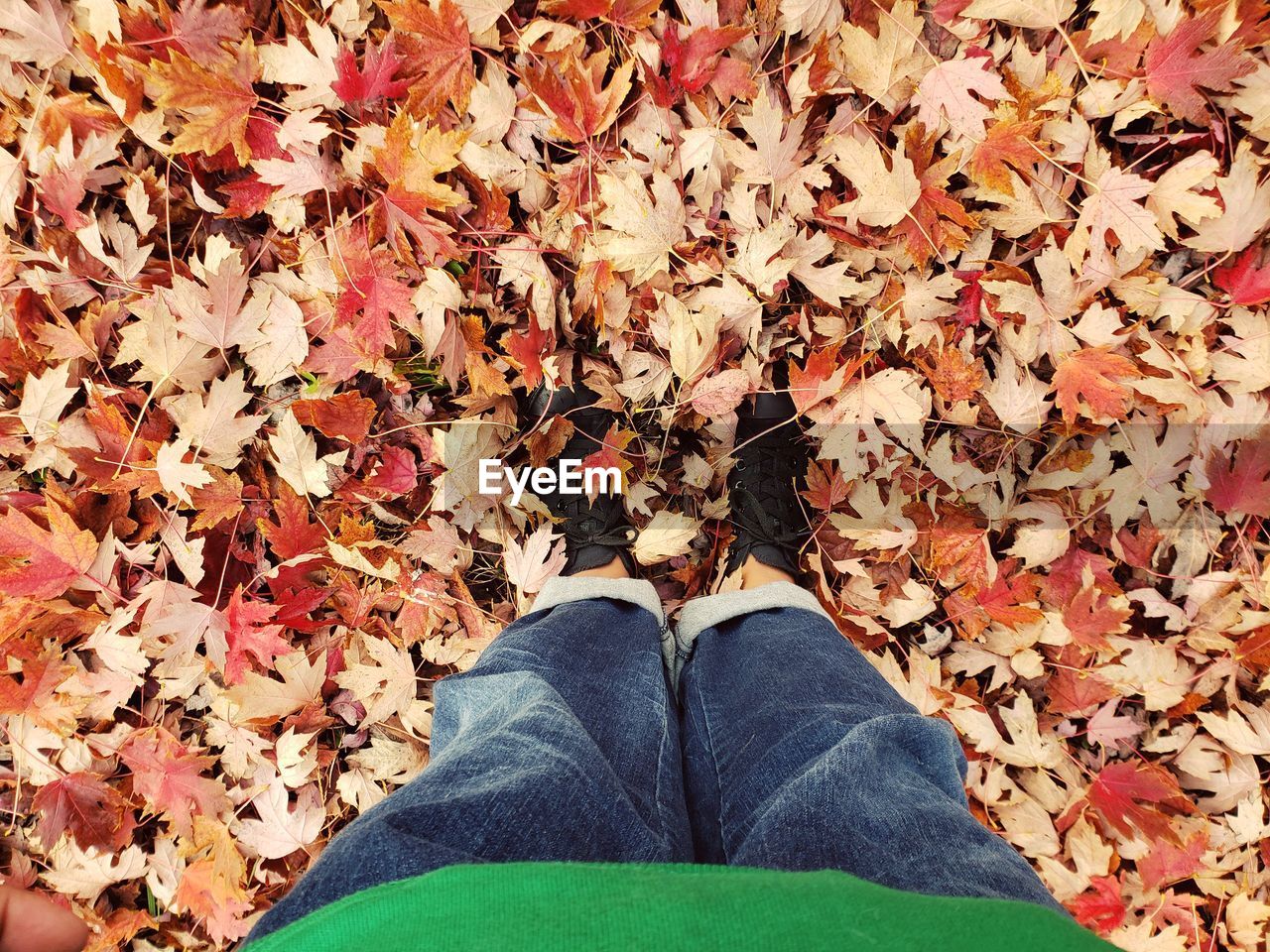 Low section of person standing on autumn leaves