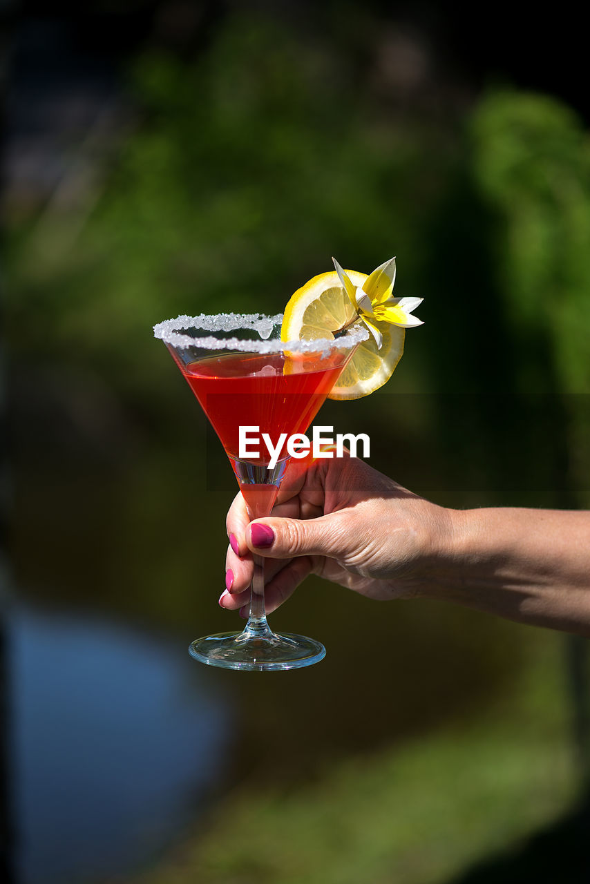 Cropped hand of woman holding drink