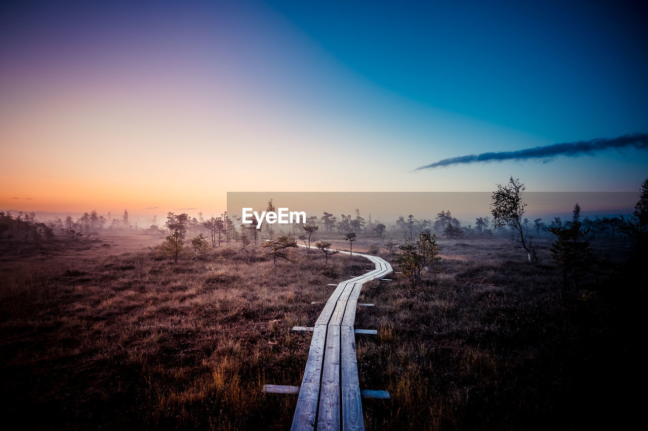 Panoramic view of road and trees against sky during sunset