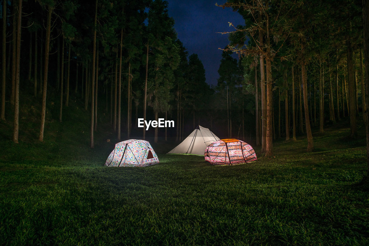 TENT IN FIELD BY TREES AT NIGHT