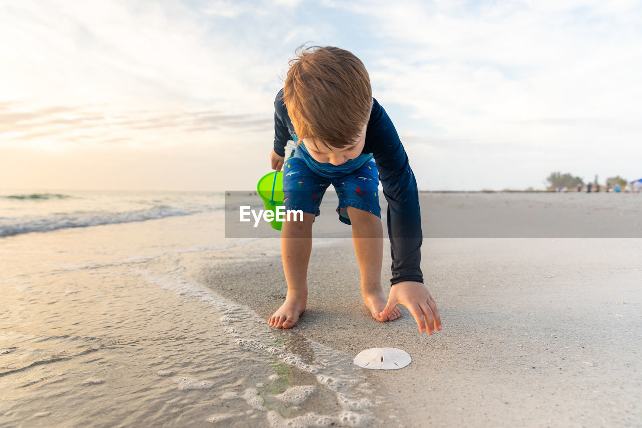 Young boy discovers sand dollar on the beach during vacation