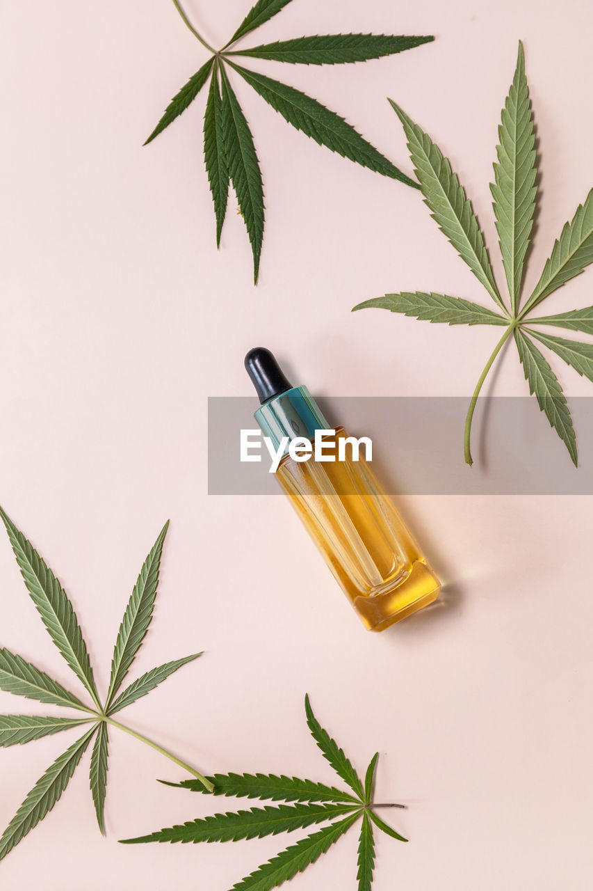 Natural cosmetic. herbal alternative medicine concept. cannabis face serum or oil dropper concept. 