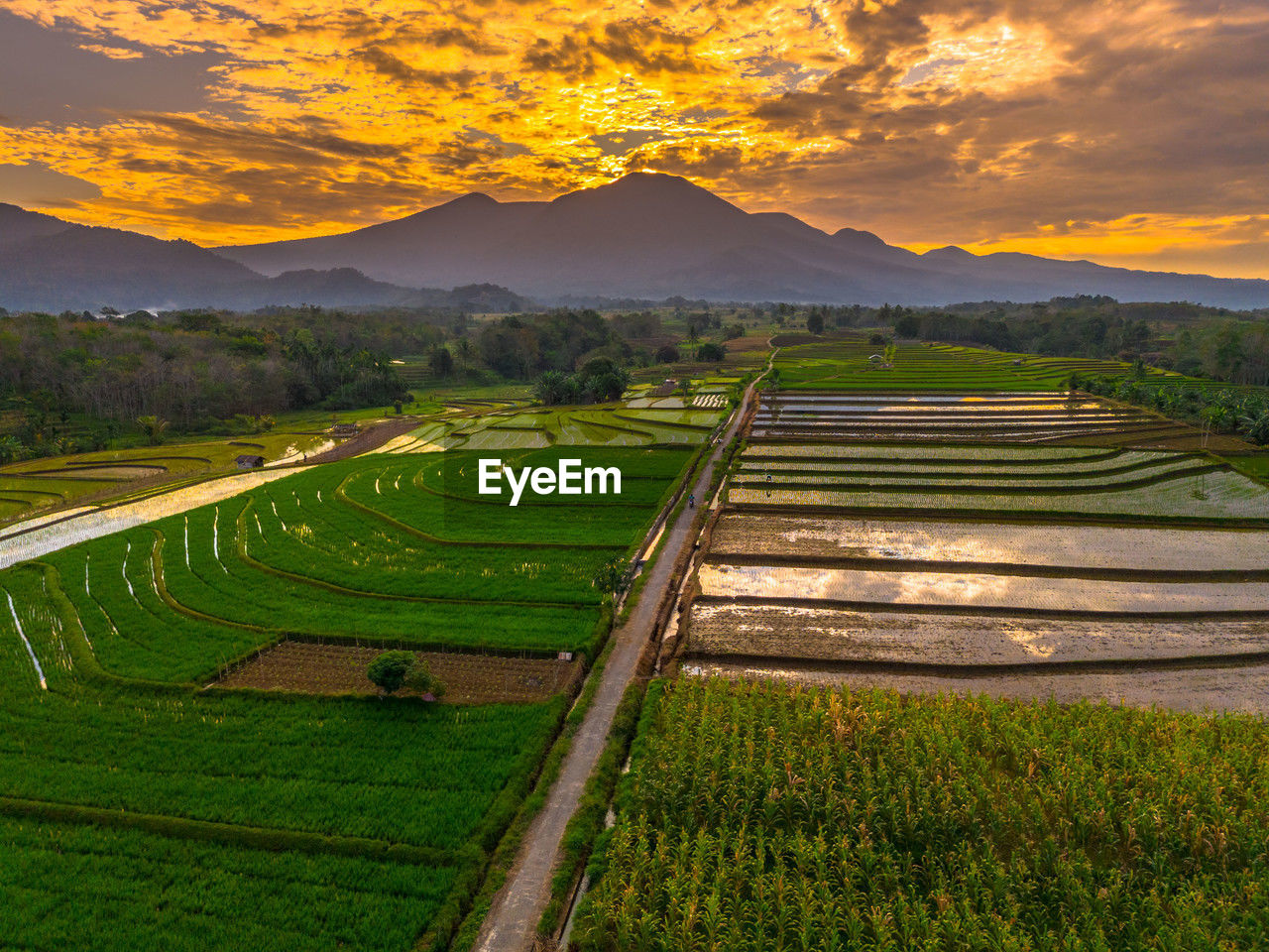 landscape, environment, agriculture, rural scene, land, field, scenics - nature, farm, plant, mountain, nature, crop, sky, beauty in nature, plain, sunset, rural area, paddy field, food and drink, rice paddy, cloud, grassland, social issues, travel, tranquility, environmental conservation, rice, sun, mountain range, food, no people, green, growth, valley, terrace, outdoors, tranquil scene, tree, architecture, grass, rice - food staple, plateau, terraced field, sunlight, twilight, cereal plant, travel destinations, idyllic, occupation, building, non-urban scene, water, tourism, horizon, multi colored, pattern, plantation, fog, meadow