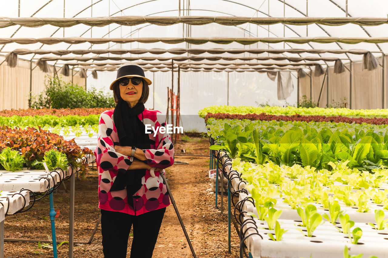 Portrait asian senior woman standing in hydroponics vegetable farm.