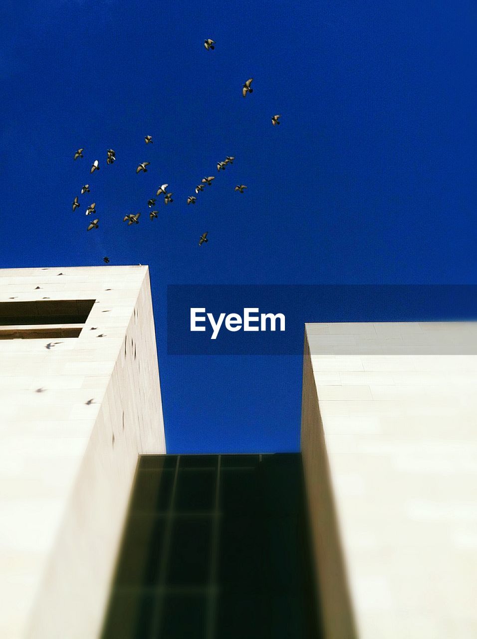 LOW ANGLE VIEW OF BUILDING AGAINST CLEAR SKY