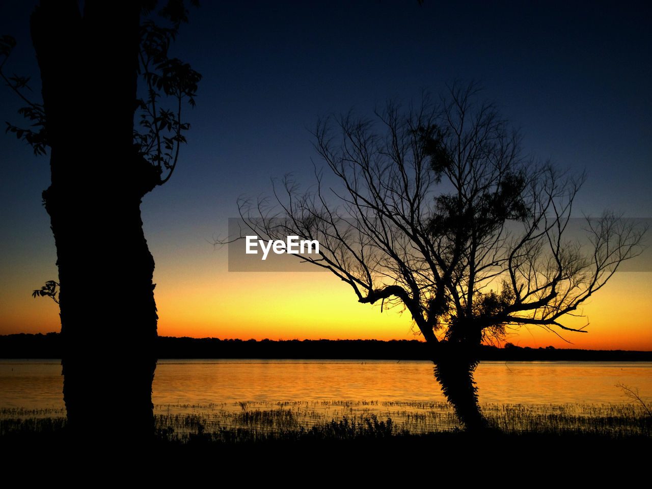 SILHOUETTE TREE AGAINST LAKE DURING SUNSET