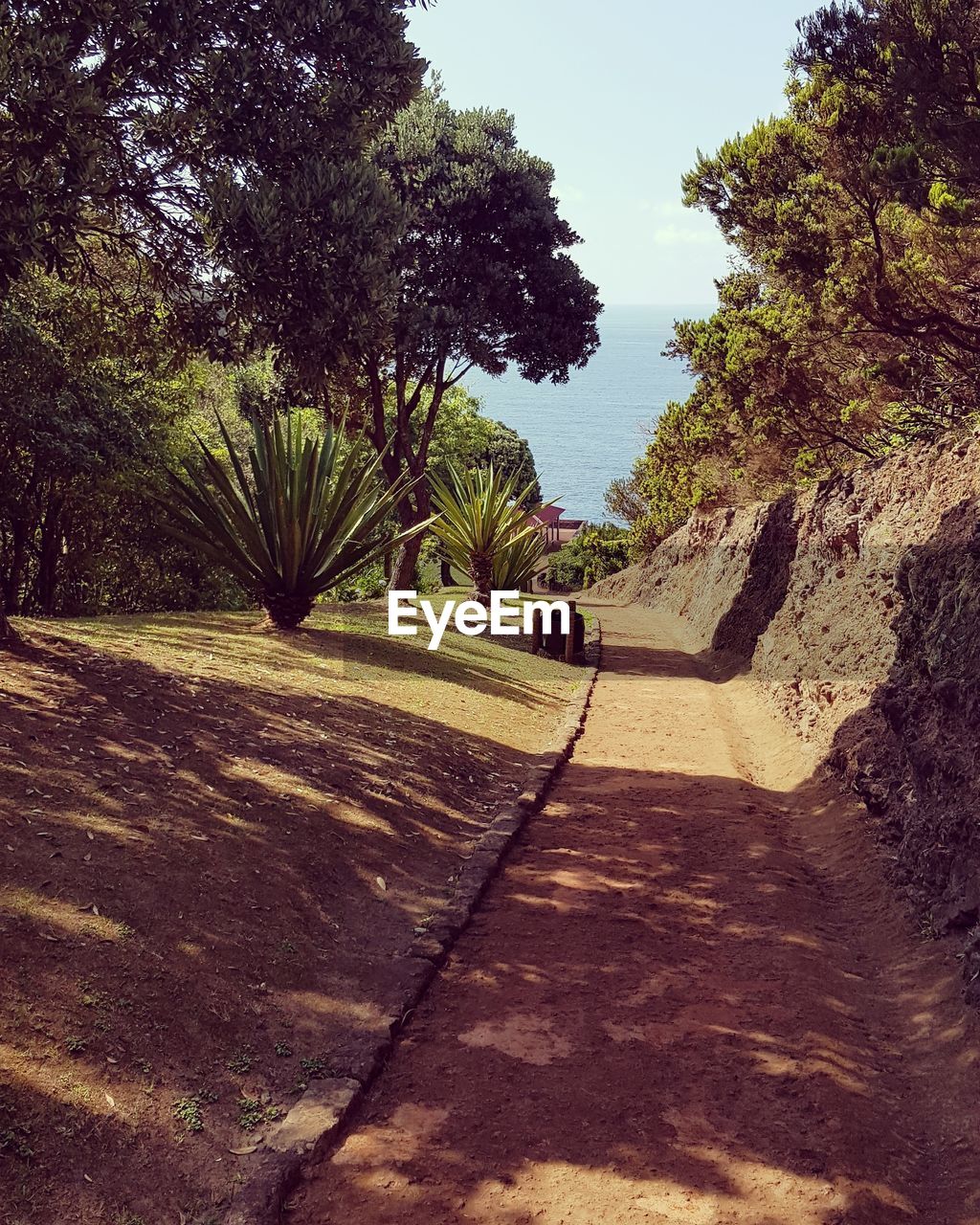 Footpath amidst trees on landscape against sky