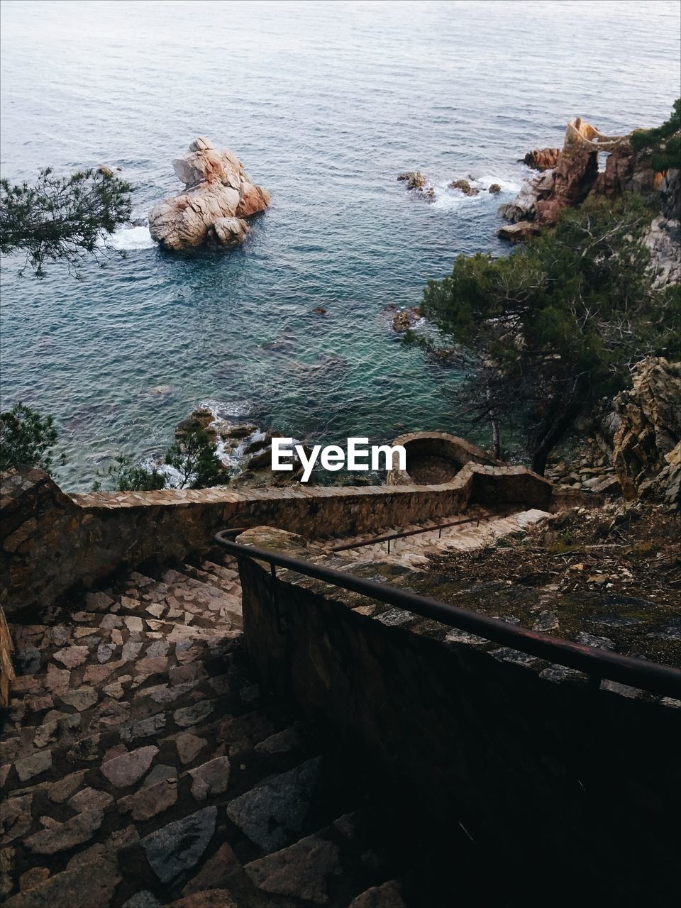 High angle view of turtle on rock by sea