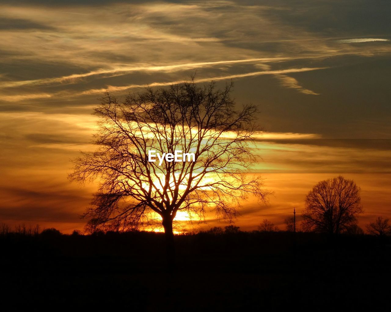 Bare tree on silhouette landscape during sunset
