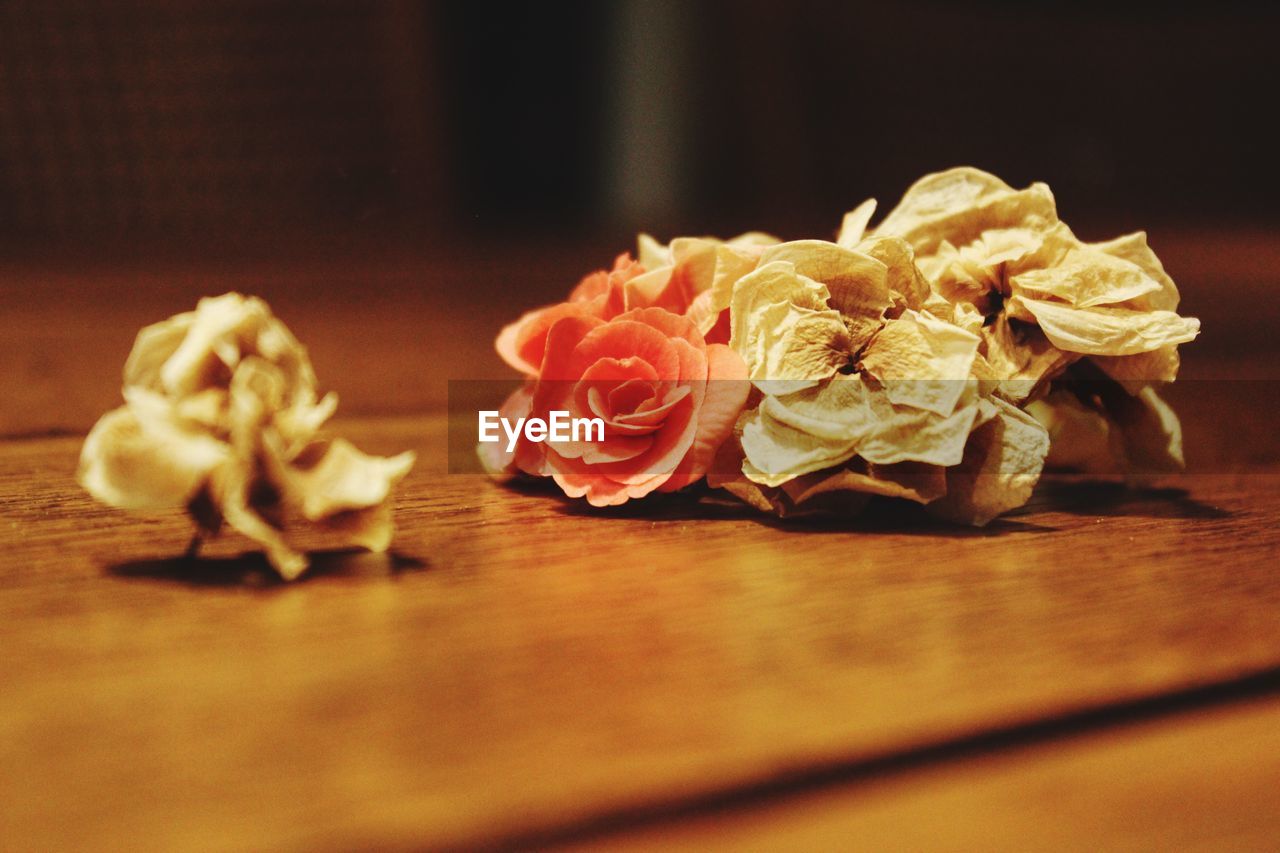 CLOSE-UP OF ROSES BY TABLE