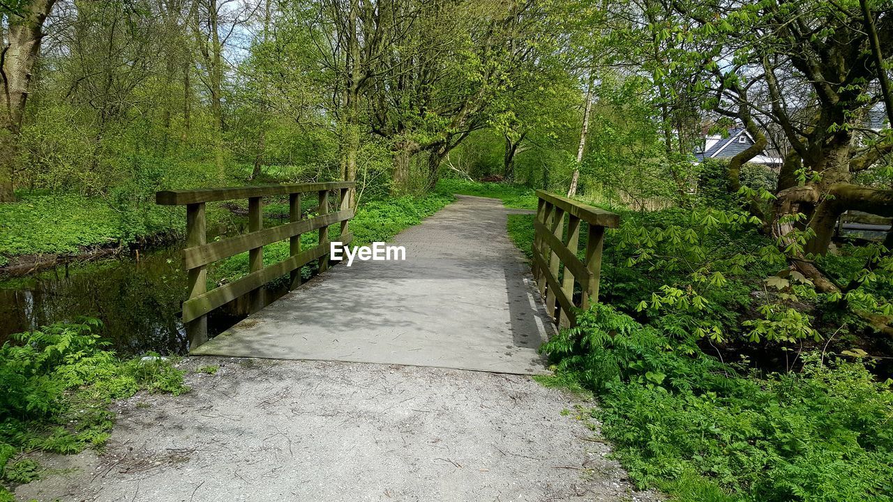 NARROW WALKWAY IN FOREST