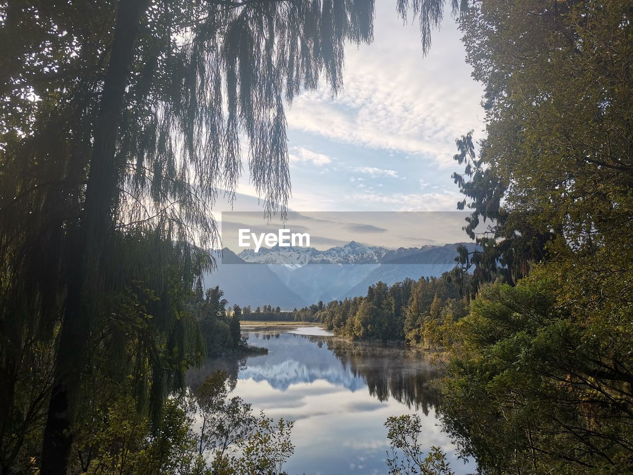 Scenic view of lake in forest against sky