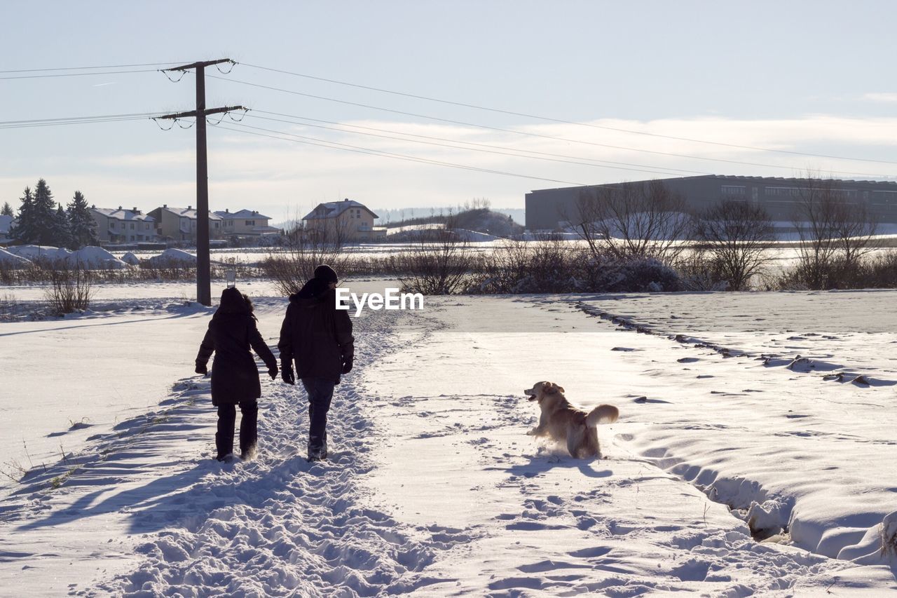 Rear view of man and woman walking with dog on snow covered field