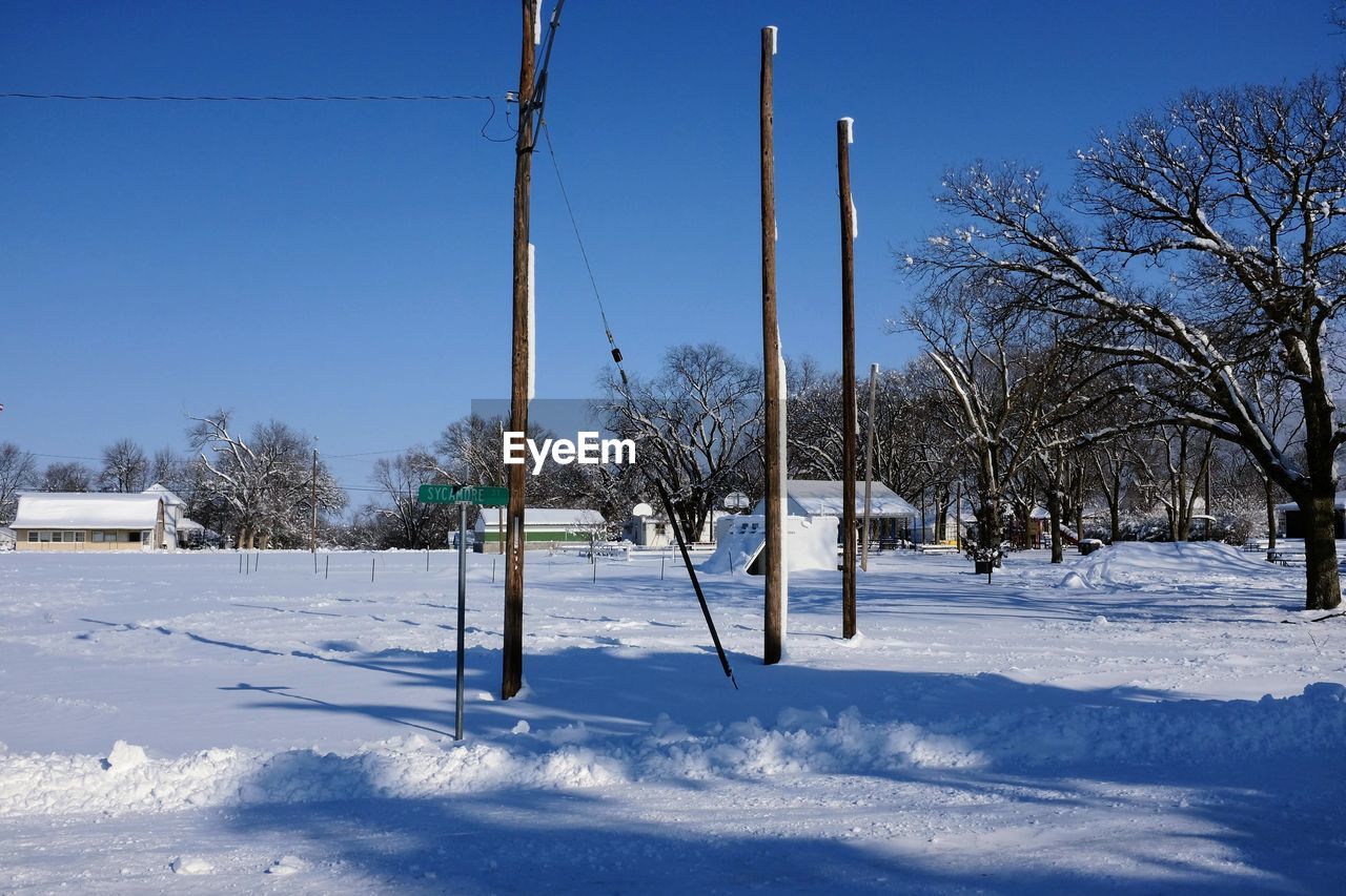 snow, winter, cold temperature, tree, nature, plant, sky, environment, freezing, no people, landscape, blue, scenics - nature, day, white, clear sky, beauty in nature, tranquility, frozen, land, tranquil scene, sunlight, bare tree, outdoors, field, non-urban scene, sunny