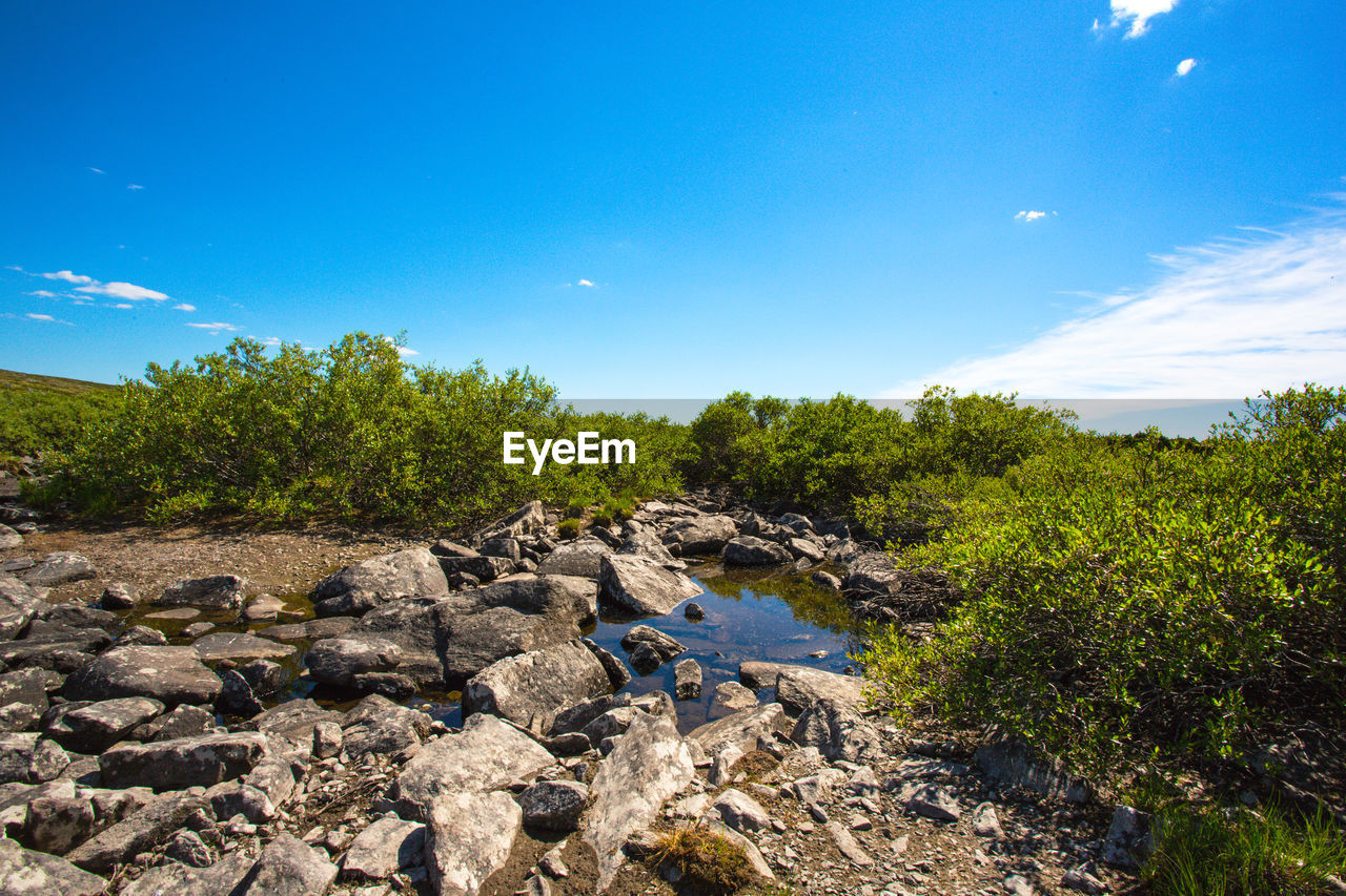 ROCKS BY PLANTS AGAINST SKY