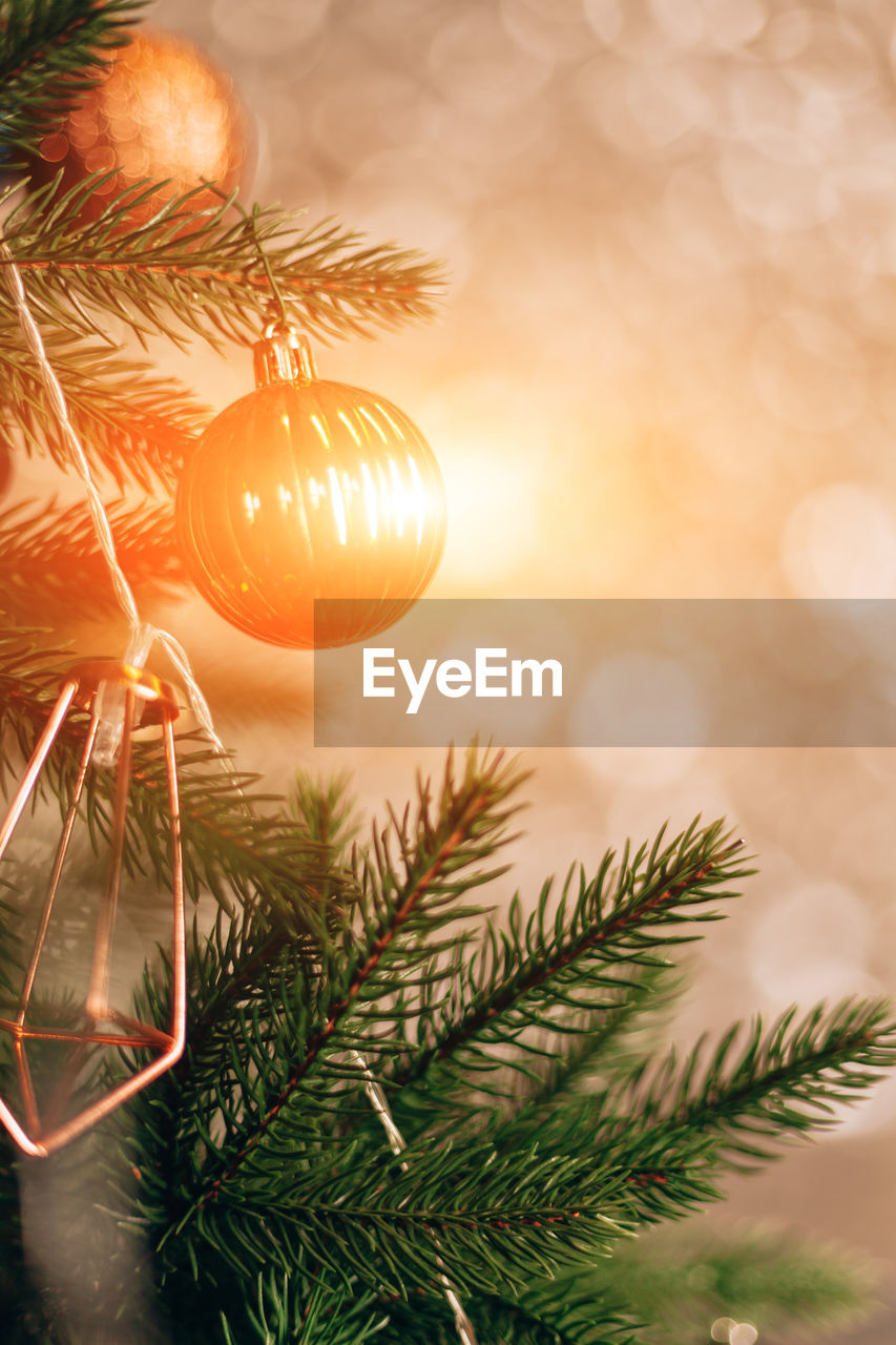 Close-up of christmas ornament hanging on tree