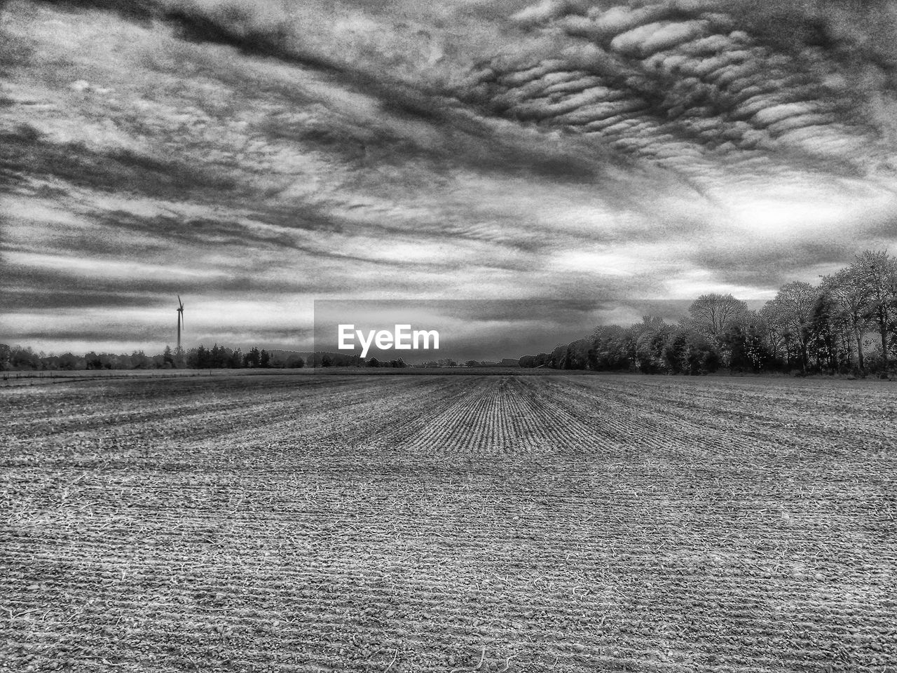 FIELD AGAINST SKY