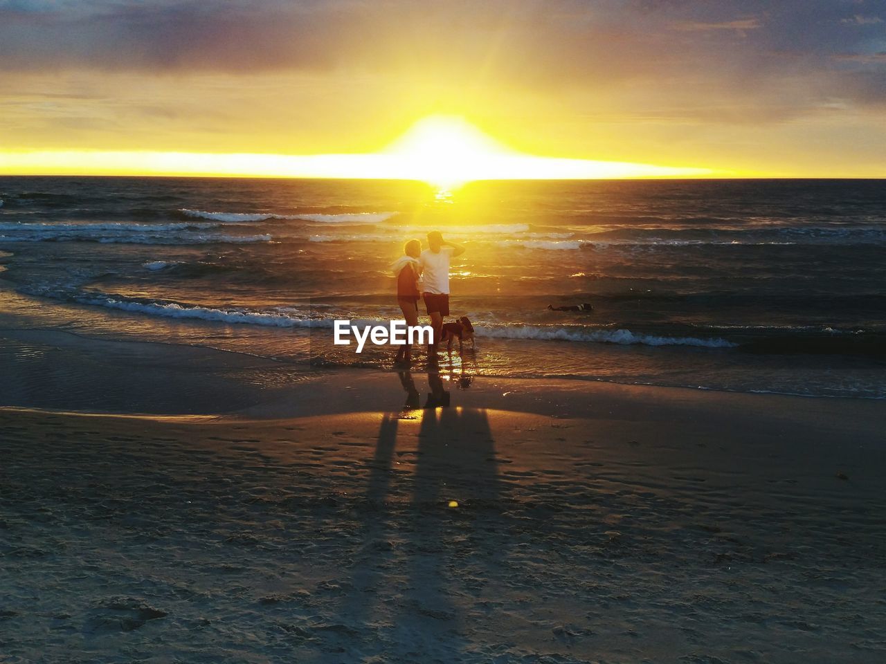 Couple walking with dog at beach against cloudy sky during sunset